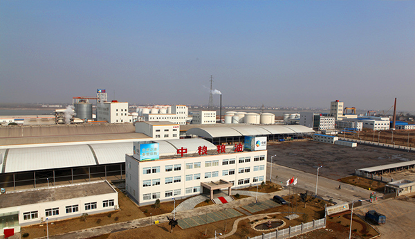 ք(dng)ܼʩصмZ|ݸ˾